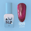 253 - 258 Cat Eye Gel Polish